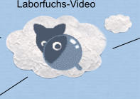 Laborfuchs-Video